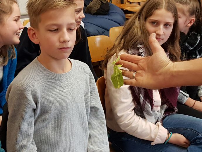 2019_Reptilientag 2019_Reptilientag