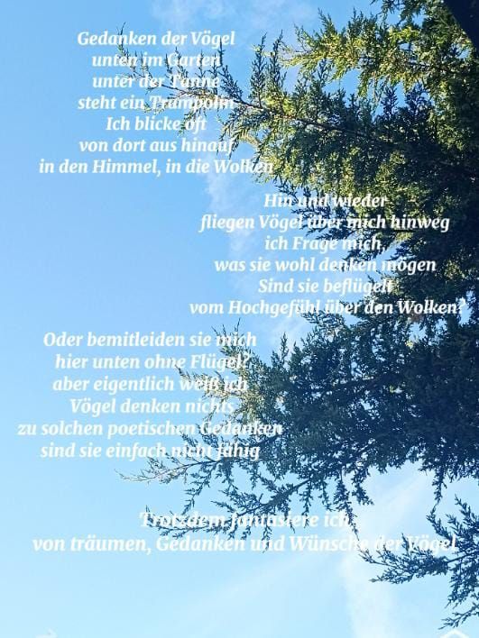 Gedicht des Monats Juli 2026