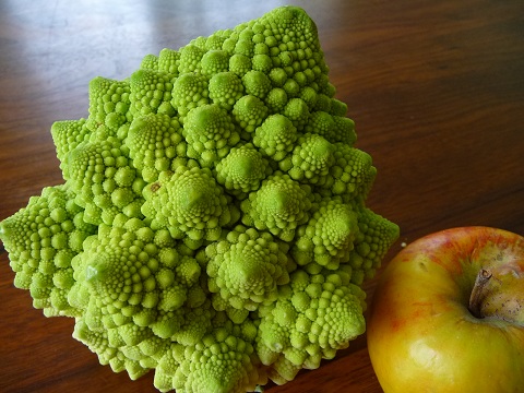 Romanesco | Fraktal | © C. Wolfseher