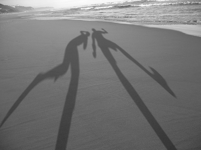 https://commons.wikimedia.org/wiki/Shadow#/media/File:Shadows-in-the-sand.jpg