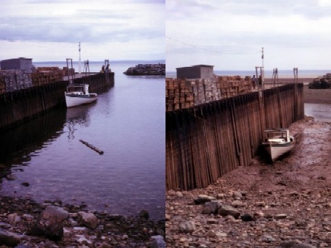 http://commons.wikimedia.org/wiki/File:Bay_of_Fundy.jpg